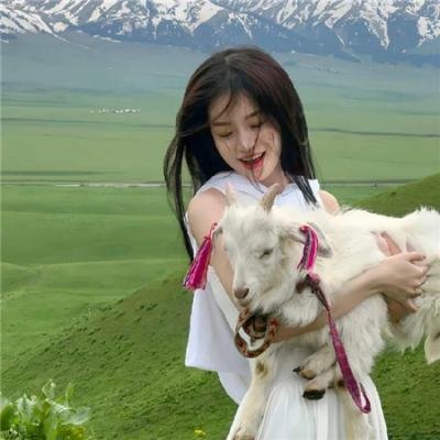 那年那兔那些事儿第七季